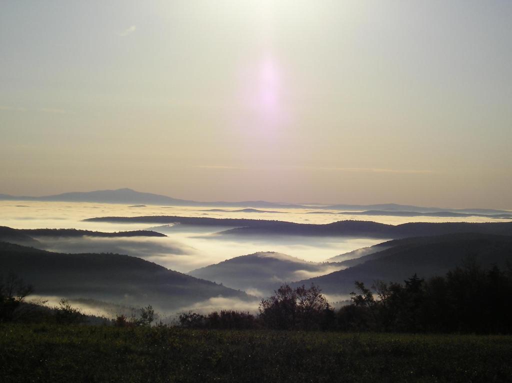 Cooper Hill Inn East Dover Екстериор снимка