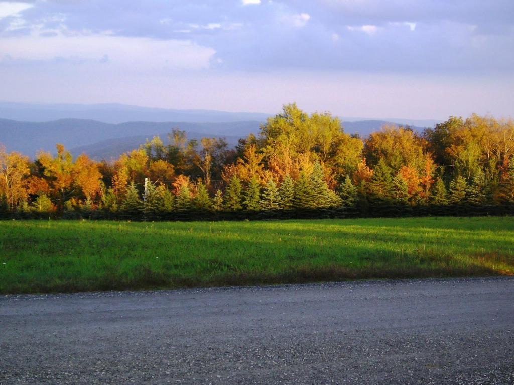 Cooper Hill Inn East Dover Екстериор снимка