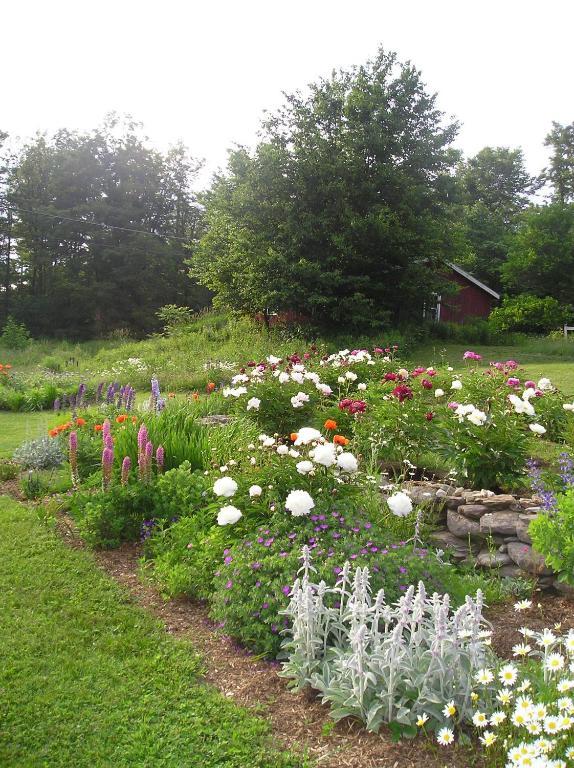 Cooper Hill Inn East Dover Екстериор снимка
