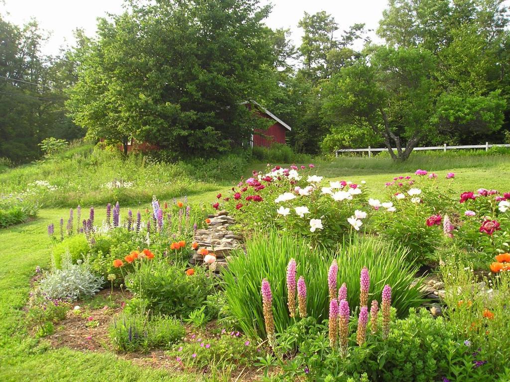 Cooper Hill Inn East Dover Екстериор снимка