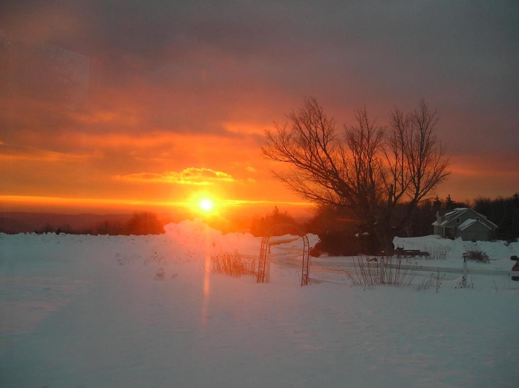 Cooper Hill Inn East Dover Екстериор снимка